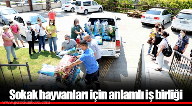 Sokak hayvanları için anlamlı iş birliği