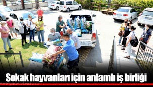 Sokak hayvanları için anlamlı iş birliği