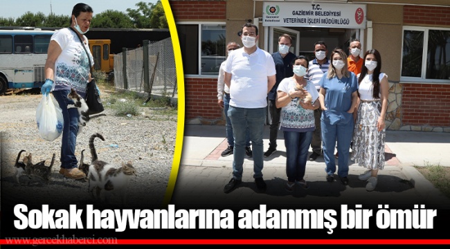 Sokak hayvanlarına adanmış bir ömür