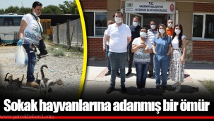 Sokak hayvanlarına adanmış bir ömür