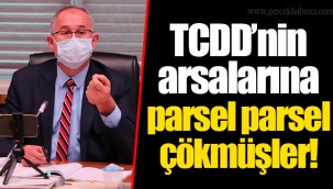 TCDD’nin arsalarına parsel parsel çökmüşler!