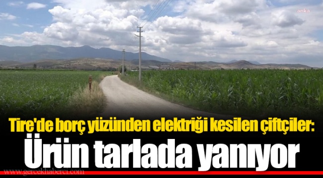 Tire'de borç yüzünden elektriği kesilen çiftçiler: Ürün tarlada yanıyor