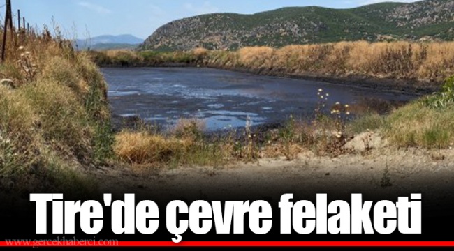Tire'de çevre felaketi