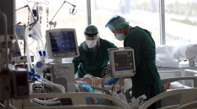 Türkiye'de koronavirüs: Son 24 saatte 74 can kaybı