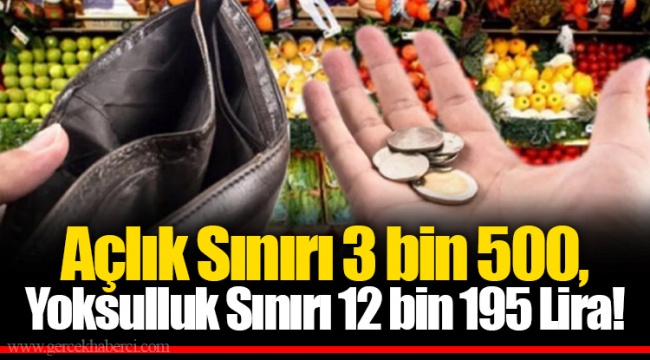 Açlık Sınırı 3 bin 500, Yoksulluk Sınırı 12 bin 195 Lira!