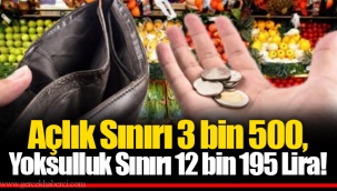 Açlık Sınırı 3 bin 500, Yoksulluk Sınırı 12 bin 195 Lira!