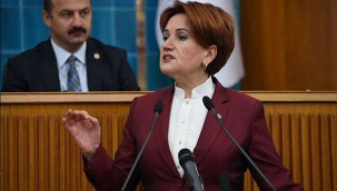 Akşener'den Pakdemirli'ye sert sözler: Beceriksizlikte bir dünya markası