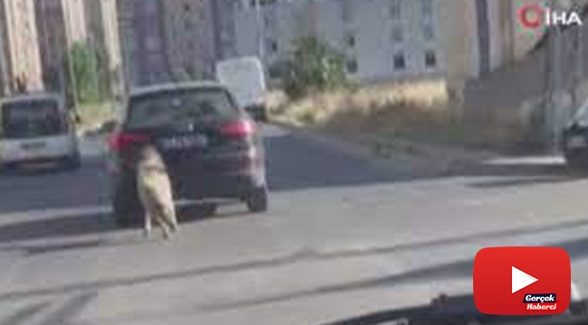 Araçla seyir halindeyken boynuna tasma taktığı köpeği peşinden koşturdu
