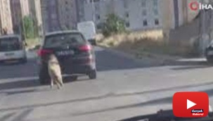 Araçla seyir halindeyken boynuna tasma taktığı köpeği peşinden koşturdu