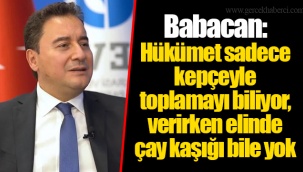 Babacan: Hükümet sadece kepçeyle toplamayı biliyor, verirken elinde çay kaşığı bile yok