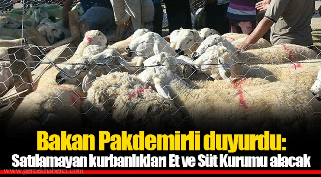 Bakan Pakdemirli duyurdu: Satılamayan kurbanlıkları Et ve Süt Kurumu alacak