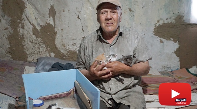 Barakada yaşayan vatandaş, bir lokma ekmeğini 36 kedi ile paylaşıyor