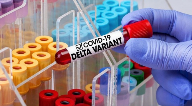 Bilim insanları halen inceliyor: Delta Plus varyantı hakkında 4 gizem