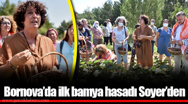 Bornova’da ilk bamya hasadı Soyer’den