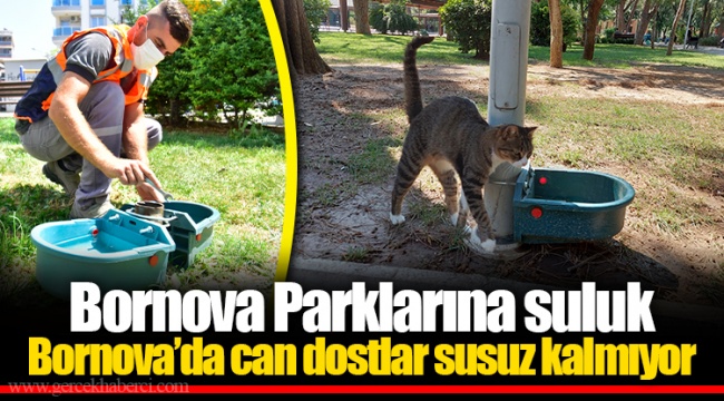 Bornova Parklarına suluk