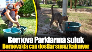 Bornova Parklarına suluk