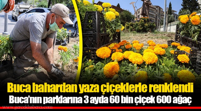 Buca’nın parklarına 3 ayda 60 bin çiçek 600 ağaç