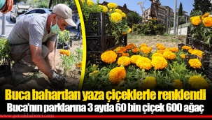 Buca’nın parklarına 3 ayda 60 bin çiçek 600 ağaç