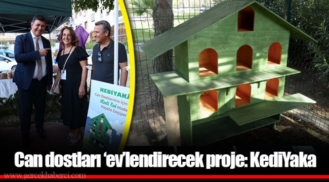 Can dostları ‘ev’lendirecek proje: KediYaka