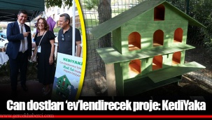 Can dostları ‘ev’lendirecek proje: KediYaka