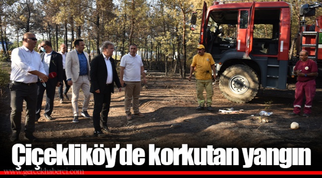 Çiçekliköy’de korkutan yangın