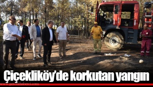 Çiçekliköy’de korkutan yangın