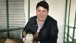 'Çiftlik Bank kurucusu Mehmet Aydın'ın teslim olma kararının ardında 3 ihtimal var'