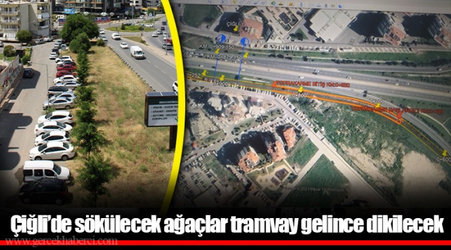 Çiğli’de sökülecek ağaçlar tramvay gelince dikilecek