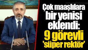 Çok maaşlılara bir yenisi eklendi: 9 görevli 'süper rektör'