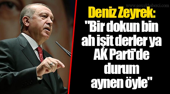 Deniz Zeyrek: "Bir dokun bin ah işit derler ya… AK Parti'de durum aynen öyle"