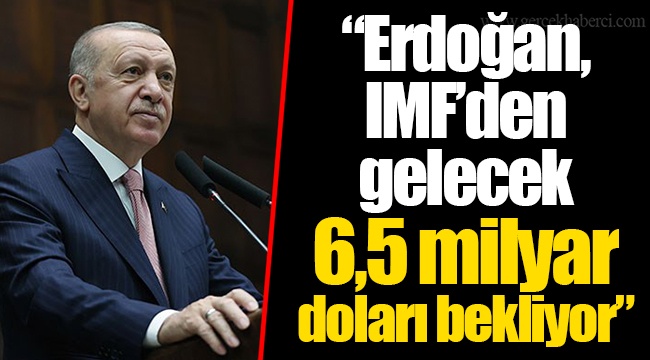 “Erdoğan, IMF’den gelecek 6,5 milyar doları bekliyor”