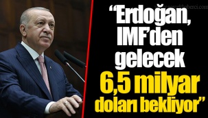 “Erdoğan, IMF’den gelecek 6,5 milyar doları bekliyor”