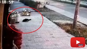 Eşinin öldürdüğü polisin balkondan düşme anının görüntüsü ortaya çıktı