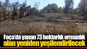 Foça’da yanan 73 hektarlık ormanlık alan yeniden yeşilendirilecek