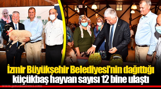 İzmir Büyükşehir Belediyesi’nin dağıttığı küçükbaş hayvan sayısı 12 bine ulaştı