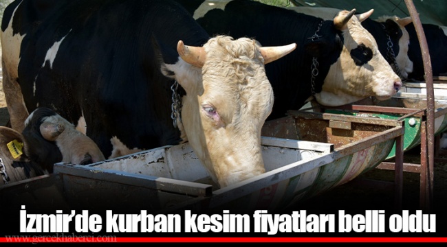 İzmir’de kurban kesim fiyatları belli oldu