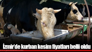 İzmir’de kurban kesim fiyatları belli oldu