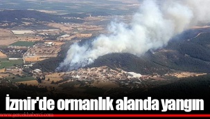 İzmir'de ormanlık alanda yangın