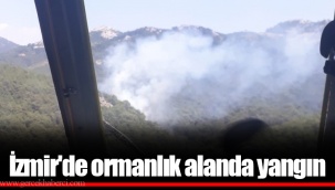 İzmir'de ormanlık alanda yangın