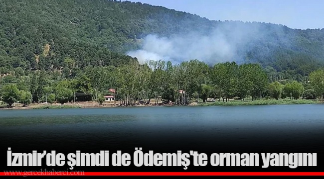 İzmir’de şimdi de Ödemiş'te orman yangını
