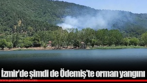 İzmir’de şimdi de Ödemiş'te orman yangını