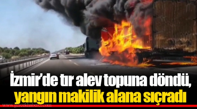 İzmir’de tır alev topuna döndü, yangın makilik alana sıçradı