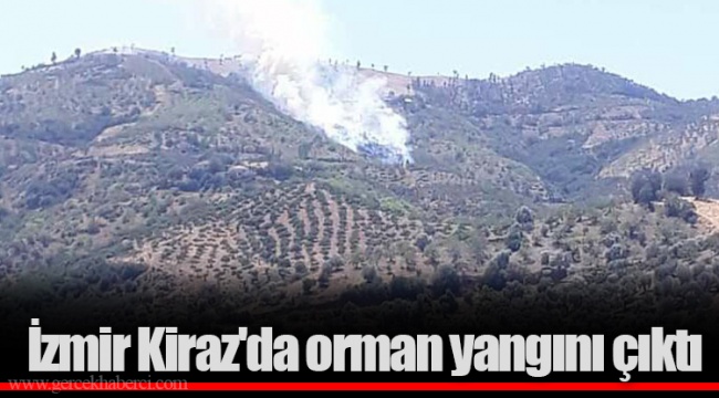 İzmir Kiraz'da orman yangını çıktı