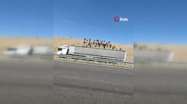 Kaçak göçmenleri otoyolda bıraktılar: Yaklaşık 150 göçmen yerleşim birimlerine dağıldı