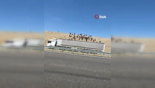 Kaçak göçmenleri otoyolda bıraktılar: Yaklaşık 150 göçmen yerleşim birimlerine dağıldı