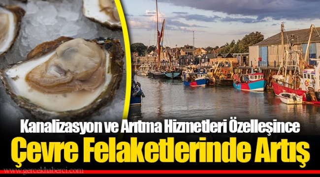 Kanalizasyon ve Arıtma Hizmetleri Özelleşince Çevre Felaketlerinde Artış
