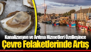 Kanalizasyon ve Arıtma Hizmetleri Özelleşince Çevre Felaketlerinde Artış