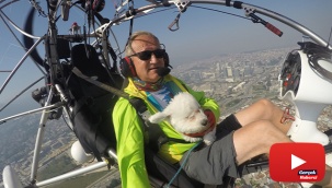 Köpeğinin doğum gününü gökyüzünde uçurarak kutladı