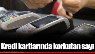 Kredi kartlarında korkutan sayı