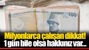 Milyonlarca çalışan dikkat! 1 gün bile olsa hakkınız var...
